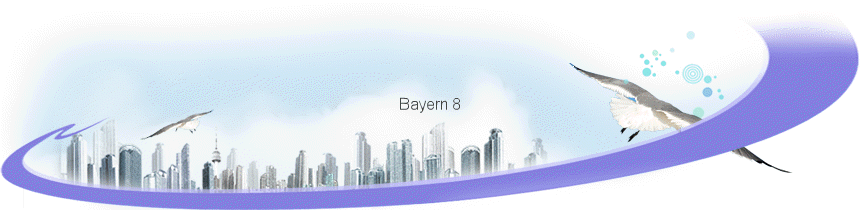 Bayern 8